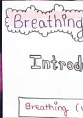 Respiration&colon; How Our Body Breathes and Exchanges Gases