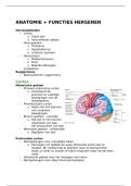 Neuroanatomie & Neurofysiologie &ndash; Complete Samenvatting