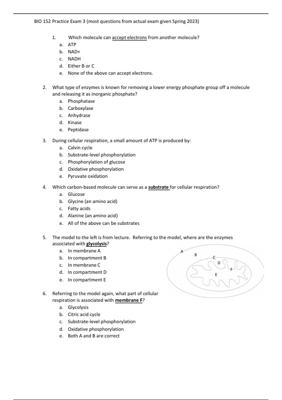 BIO 152 Practice Exam 3 Review | COMPREHENSIVE QUESTIONS & ANSWERS ...