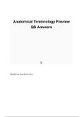 Anatomical Terminology Preview Questions and Answers 2026&sol; 2027 Complete with Solution