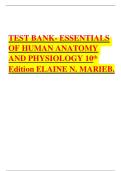 TEST BANK- ESSENTIALS OF HUMAN ANATOMY AND PHYSIOLOGY 10th Edition ELAINE N&period; MARIEB&period;