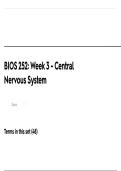 2026 BIOS 252 Week 3 Central Nervous System A&P 2 Complete Edapt Questions Human Anatomy and Physiology Study Guide Practice Exam Review Learning Resource
