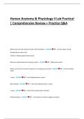 Human Anatomy & Physiology II Lab Practical 2025 &vert; Comprehensive Review & Practice Q&A