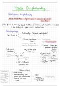 Hepatic encephalopathy 