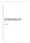 Samenvatting strafrecht 2025-2026