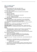Samenvatting - economie 