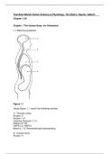 Test Bank - Human Anatomy & Physiology&comma; 12th Global Edition &lpar;Marieb&comma; 2023&rpar;&comma; Chapter 1-29 &vert; All Chapters