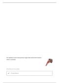 NASM MUSCLES QUESTIONS WITH CORRECT ANSWERS