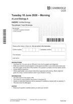 Document preview thumbnail