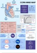 CCRN MIND MAP