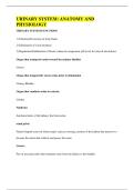 URINARY SYSTEM&colon; ANATOMY AND PHYSIOLOGY
