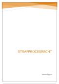 Strafprocesrecht&colon; SV handboek &plus; slides &plus; oefeningen &sol; J&period; Meese  &sol; '25-'26