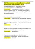 IUPUI Anatomy Lecture Exam 4 Actual Questions and Answers 2026&period;docx