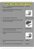 Nightingale College Anatomy week 13 Activity Questions and answers 