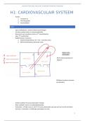 Samenvatting deel anatomie 'algemene menselijke fysiologie'