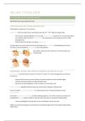 VOLLEDIGE samenvatting neurofyiologie &lpar;2e bach kine-2025&rpar;
