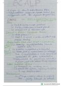 Mastication&comma;tongue&comma;eye&comma;nose&comma;mouth muscles &comma; points from grey's anatomy added&period;