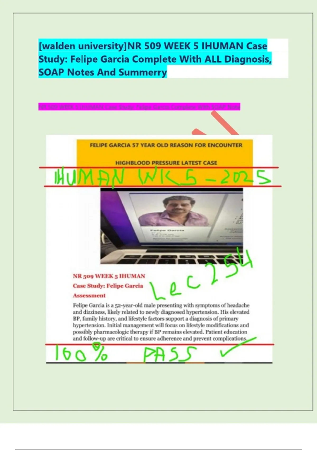 [walden university]NR 509 WEEK 5 IHUMAN Case Study: Felipe Garcia ...