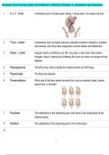 Nursing Care During Labor and Delivery&colon; NSG222 Module 3- Questions and Answers 