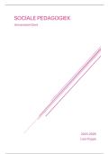 Samenvatting sociale pedagogiek