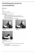 Samenvatting Physiotherapeutic Practice for Stroke