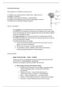 Neurokine korte sv KNO