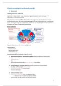 Neurokinetherapie 1 praktijk