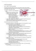 Samenvatting - Biologie - Nectar H14 zenuwstelsel - vwo 5