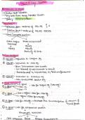 Hepatobiliary system 