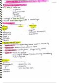 SKIN SYSTEM 