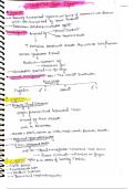 UROGENITAL SYSTEM 