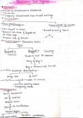 Respiratory system 