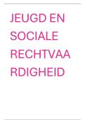 volledige samenvatting jeugd en sociale rechtvaardigheid - Didier en Shana