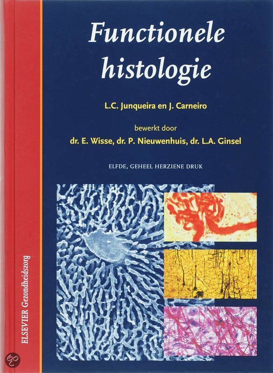 samenvatting spieren histologie