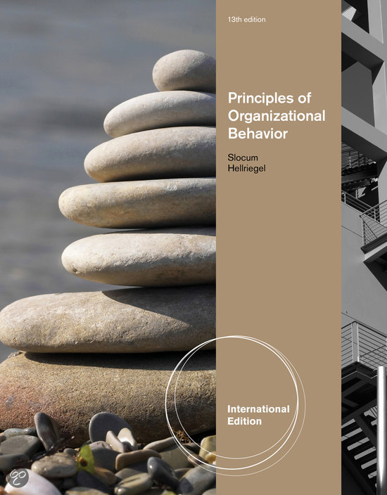Principles of Organizational Behavior, International Edition