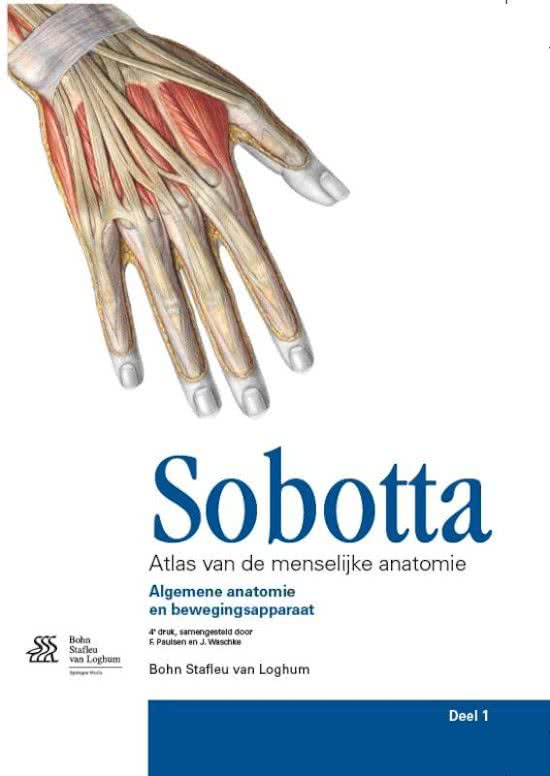 Sobotta / 1 Algemene anatomie en bewegingsapparaat