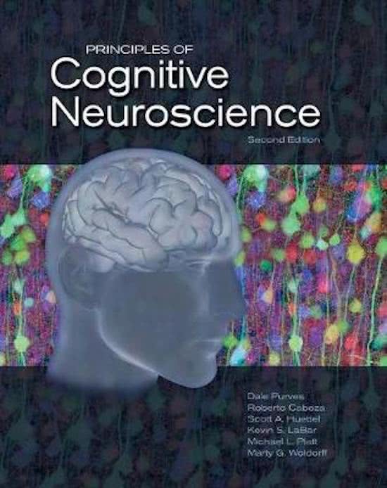 Uitgebreide samenvatting Deeltentamen 1 Cognitive Neuroscience (2022)