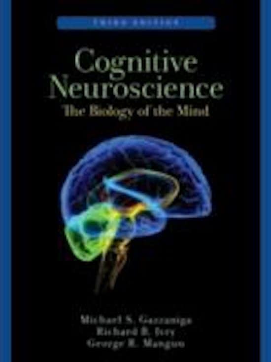 Principles of Cognitive Neuroscience Notes Stuvia US
