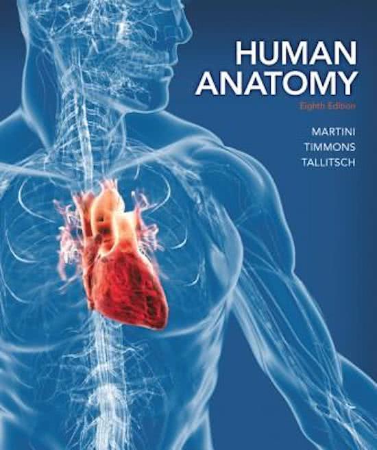 TEST BANK FOR HUMAN ANATOMY 8TH EDITION FREDERIC H. MARTINI MICHAEL J. TIMMONS, MORAINE VALLEY COMMUNITY COLLEGE ROBERT B. TALLITSCH | COMPLETE CHAPTER 1-28 | 2023/2024