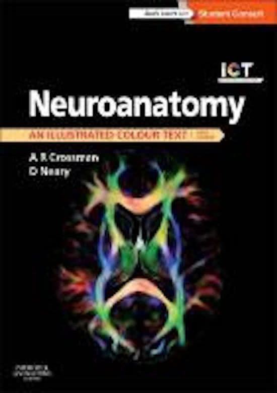 functionele neuroanatomie practicum 1 oplossingen