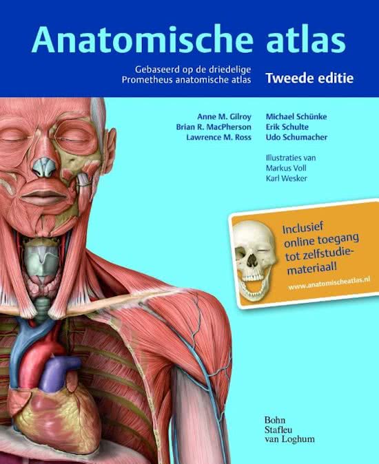 Anatomische atlas spieren