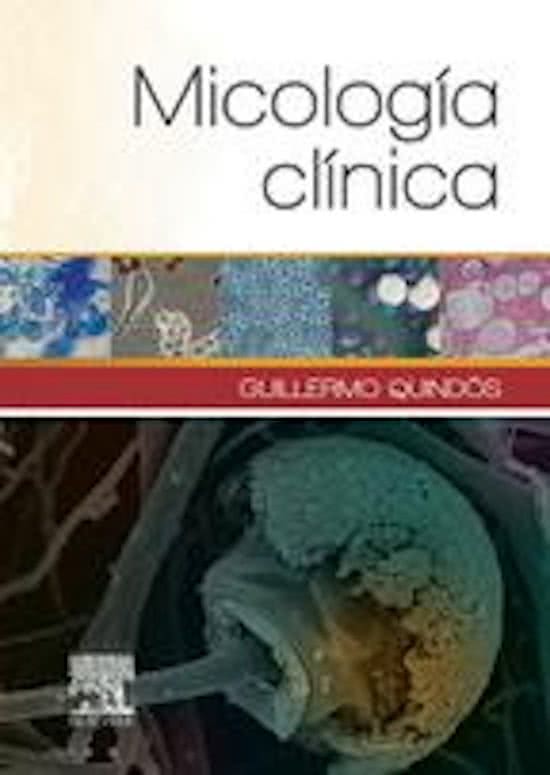 Generalidades y clasificación de las micosis