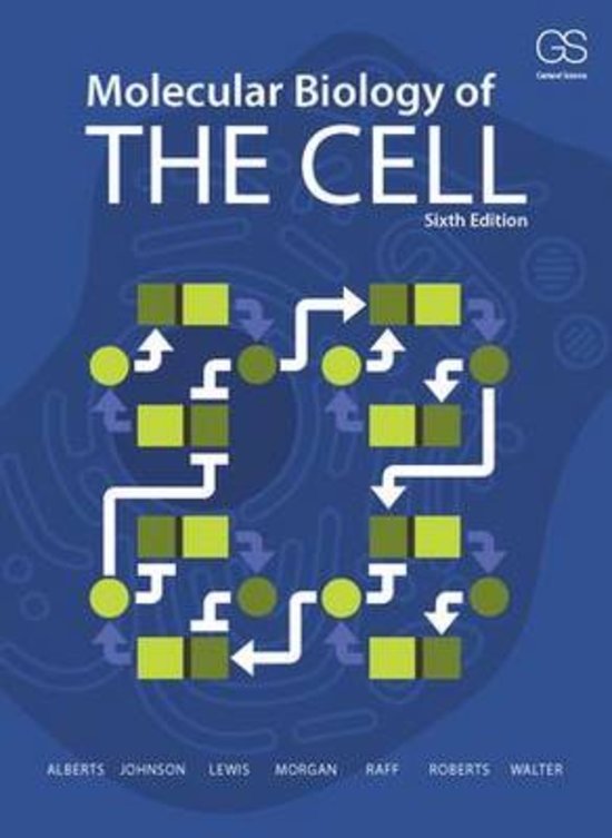 Complete samenvatting voor het vak moleculaire biologie 1 op basis van alle gegeven theorielessen over het boek Molecular Biology of the Cell en verschillende artikelen