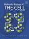 book-image-Molecular Biology of the Cell