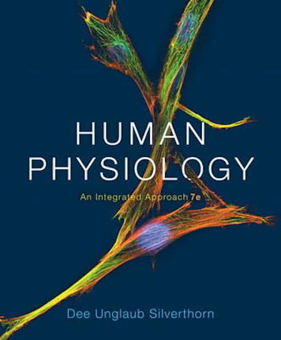 Test Bank for Human Physiology An Integrated Approach 7th Edition by Silverthorn, All Chapters