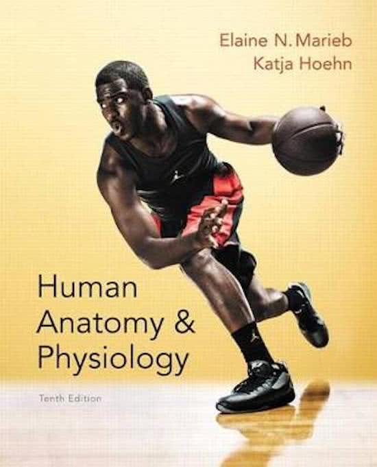 Test Bank: Human Anatomy & Physiology, 10th Edition by Marieb - Chapters 1-29, 9780321927026 | Rationals Included