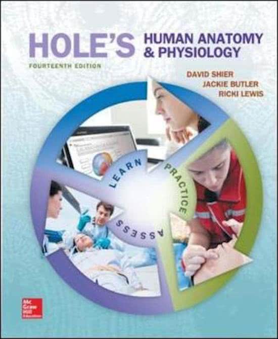 Holes Essentials of Human Anatomy and Physiology 13th Edition by Shier Butler and Lewis Test Bank