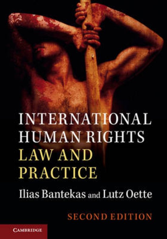 Comparative Human Rights: Complete and clear summary of the textbook, all lectures, working groups, jurisprudence and articles 