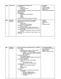 Schema persoonlijkheidstheorie&euml;n