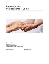 beroepsproduct volledig voorbeeld